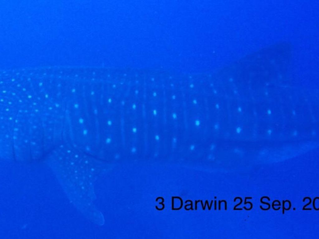 5ff81b30-4349-42f0-bdaa-7a3ba2515c83