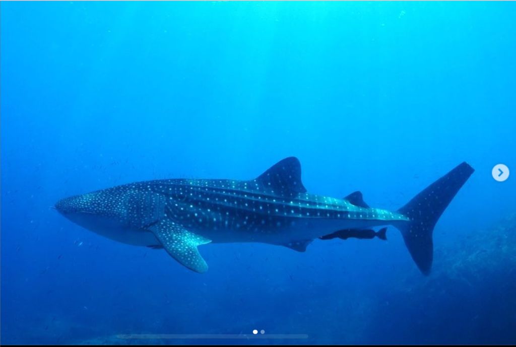 4fade483-436a-4bb5-9e0d-69d185bed6ae