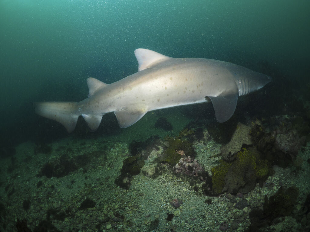 47f845bf-6629-4e45-963f-621e4a6c8664