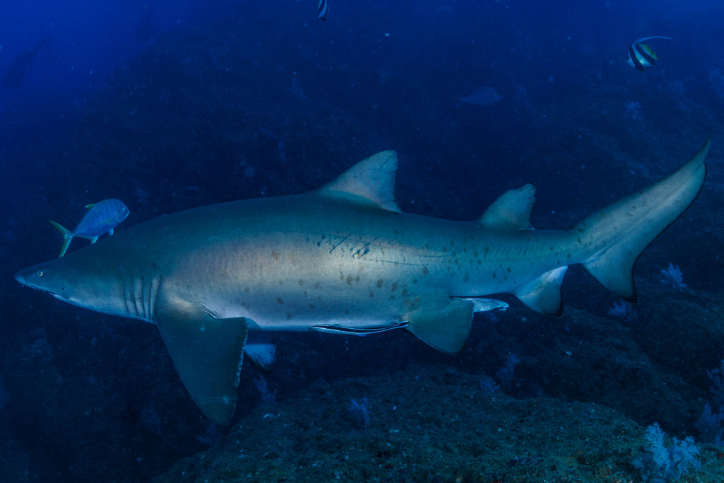 e2b0c95f-af13-478d-a864-b9a9a34bb89d