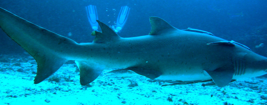 057cef94-2c2a-4f6b-802e-a9cf68c99e06