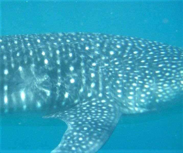 99e7b111-8f9d-42ae-bf86-b9fd3b8f7875