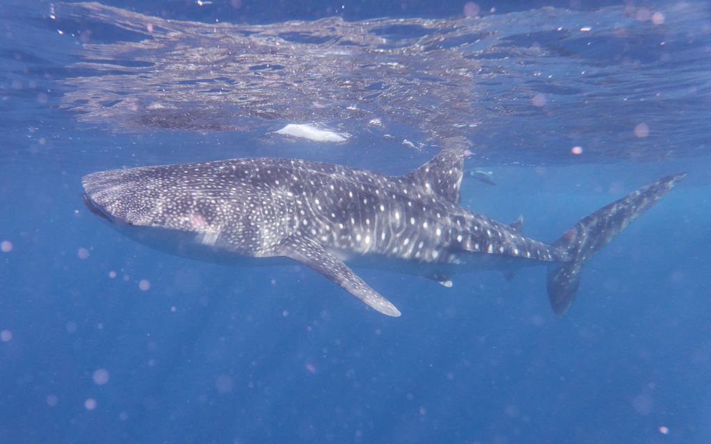 f5d06967-2d39-4189-a4cc-f7a6eba2c34c