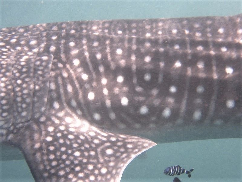 8c3de77e-78f9-4b95-bce9-b525998b1d5e