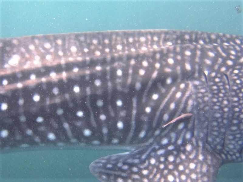 8c3de77e-78f9-4b95-bce9-b525998b1d5e