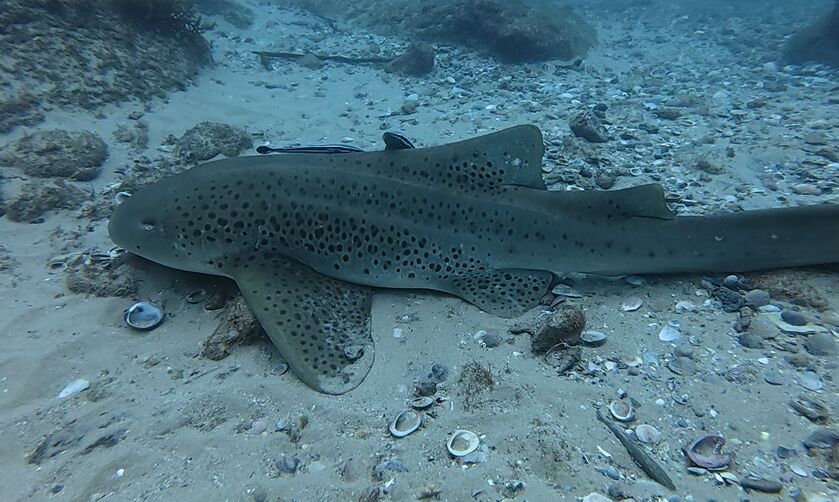 80e0c139-6b38-4634-a8c8-e74f650d40b6