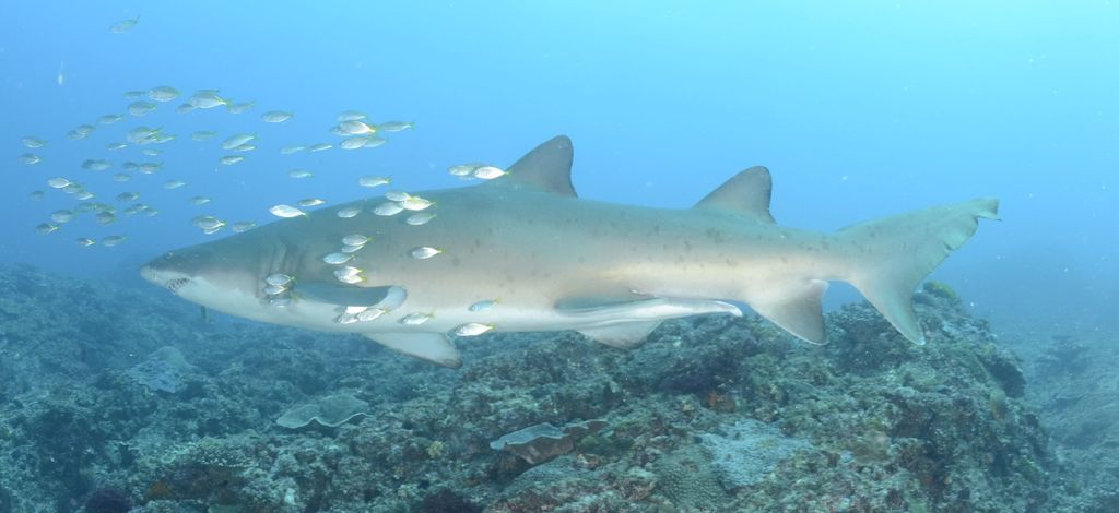 8554b6b8-3bf3-4bef-a698-0e1b1892c898