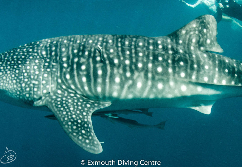 484d6beb-f0ad-40d2-927a-267f6e089635