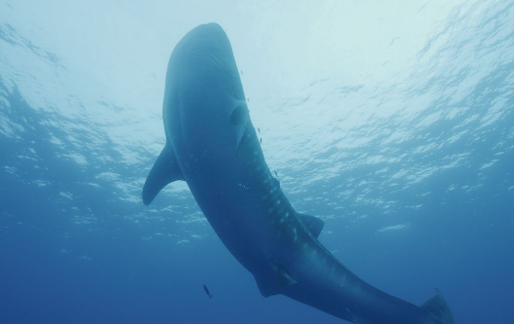 f42bc82a-f7a6-43bf-be5e-5d3a73e3d7cd