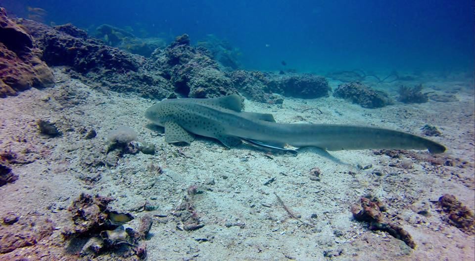 b3a5556b-e2ab-4b45-bae5-42b715ba93c1