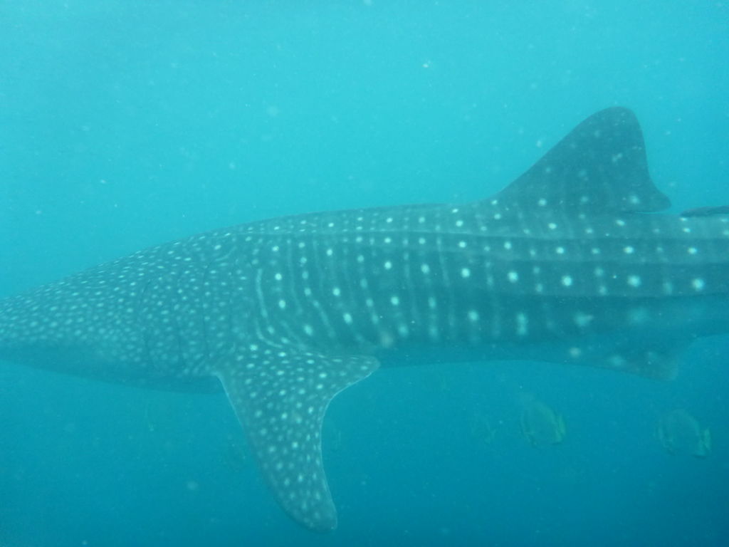 53f21568-3cba-42f3-ab3c-4a77510f9ca8