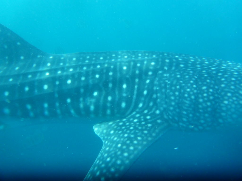 53f21568-3cba-42f3-ab3c-4a77510f9ca8