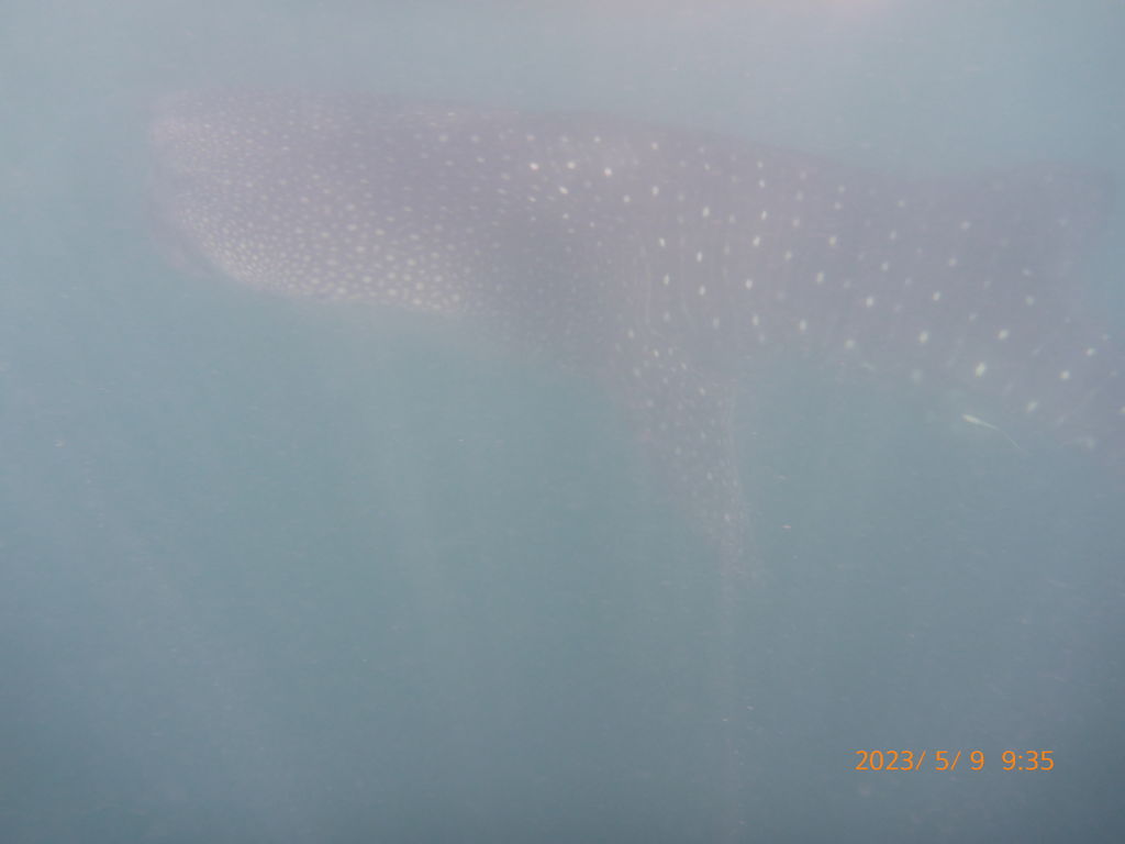 de735ff8-c209-434d-9f62-308f37e19628