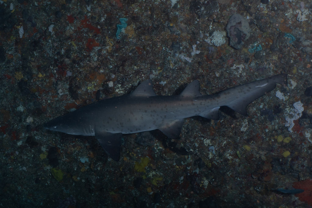 302f89b8-448a-43bb-8be2-bb55789fa2f2