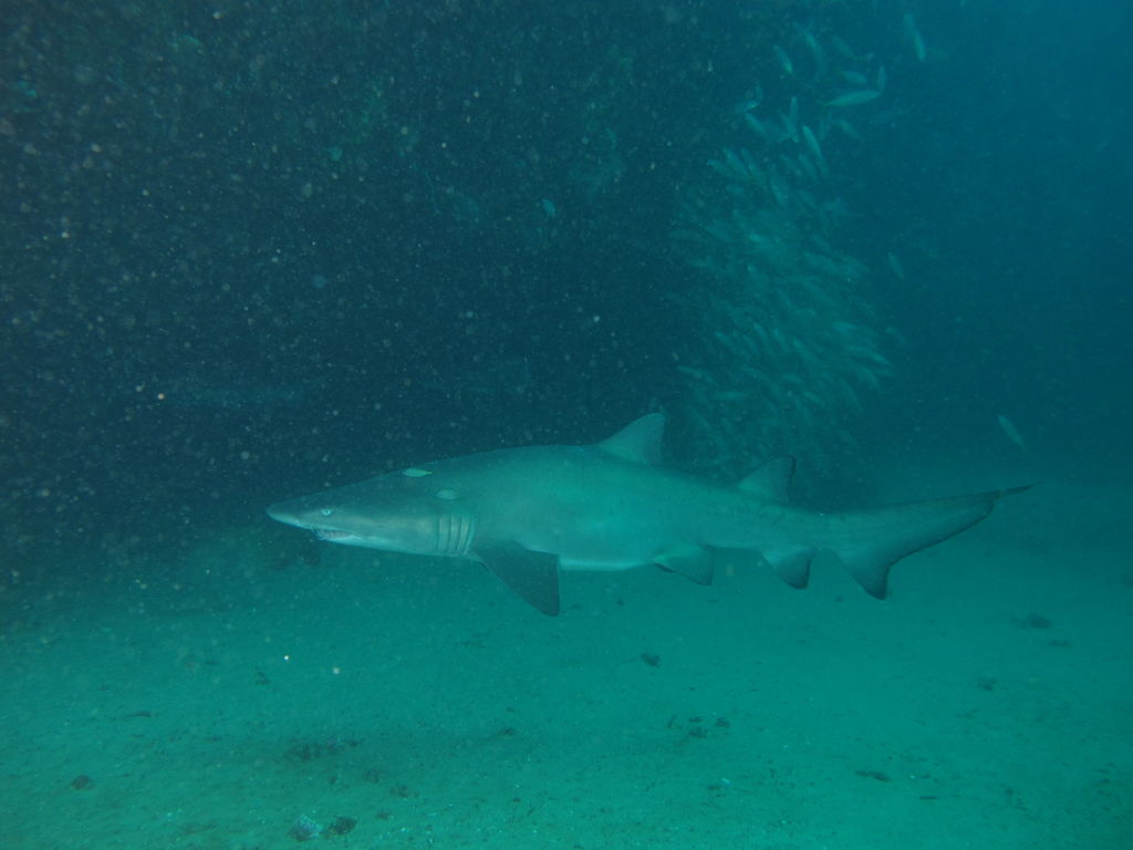 56f6ce74-be4c-41ac-9320-9ba88960261b