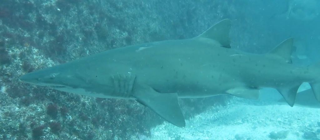 98614489-f961-4efe-b11c-e910d0511173