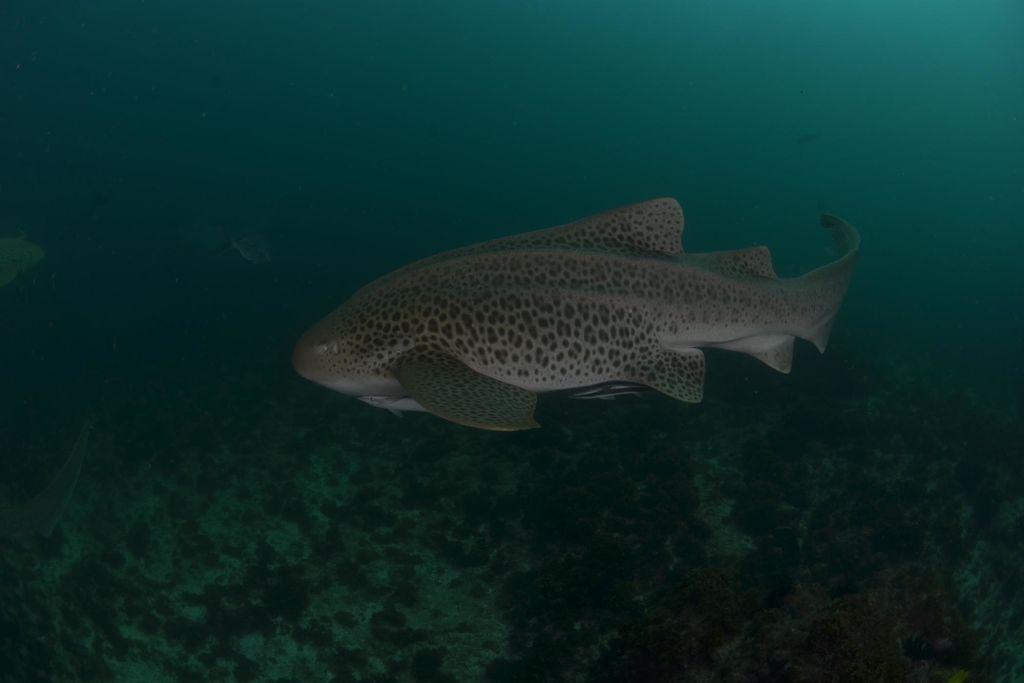 196f84ae-d19b-428a-af2d-013b28048d31