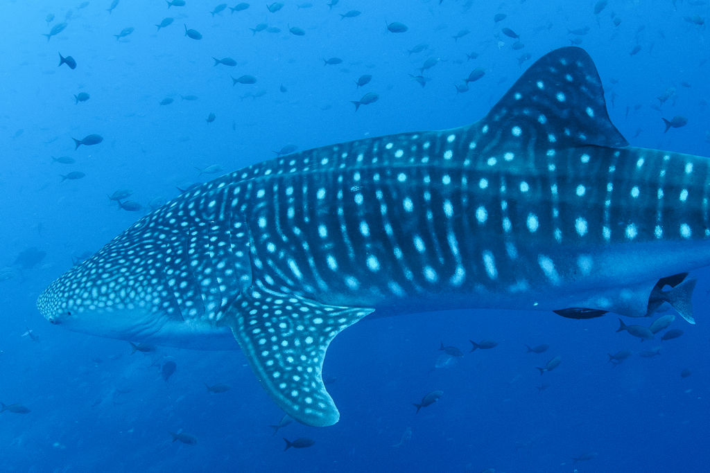 df816411-7b63-46c8-8a83-a3cbd8ee4829