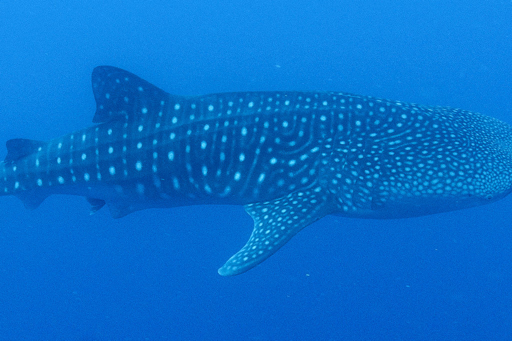 df816411-7b63-46c8-8a83-a3cbd8ee4829