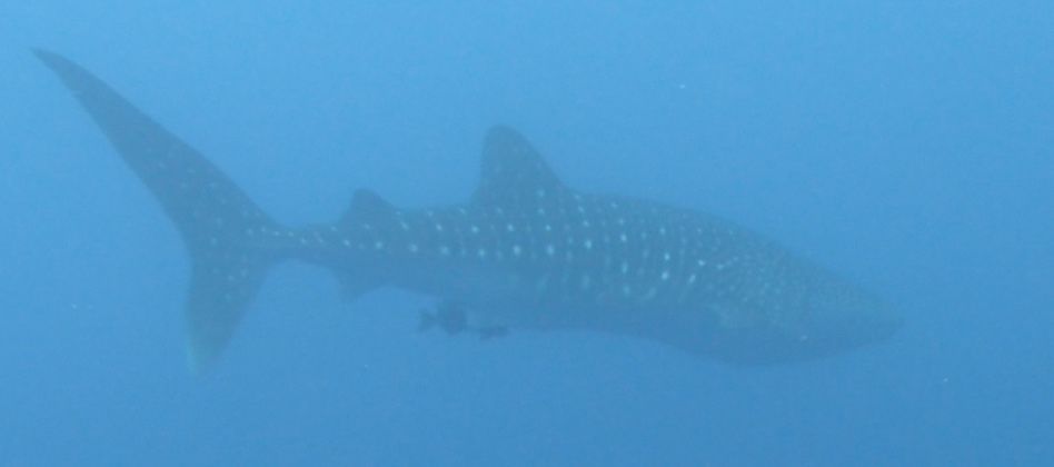 df816411-7b63-46c8-8a83-a3cbd8ee4829