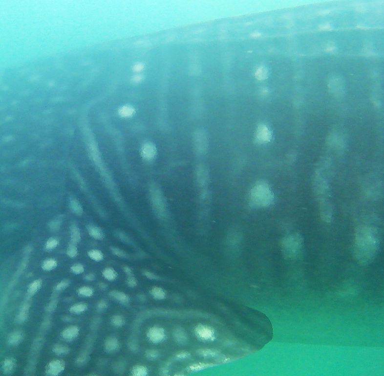 b1a3a805-3c3c-4d83-a683-1764a7f9c060