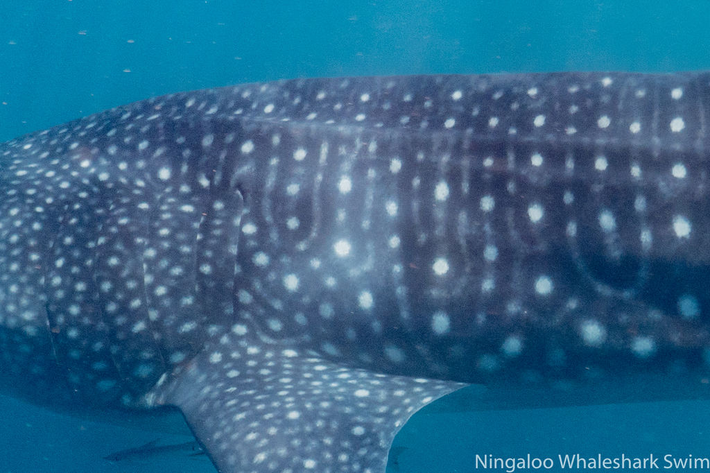 e759f484-3712-4127-852f-93a9f092ac9f