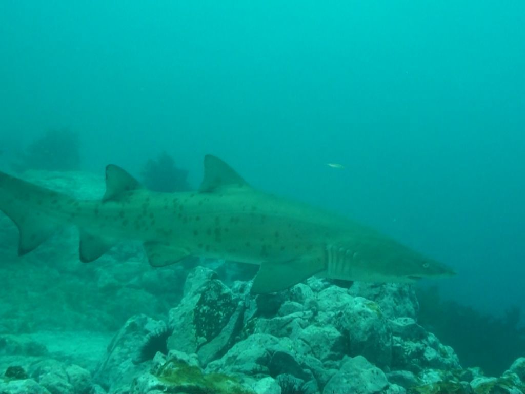 10061f27-8518-4c51-beb2-058a6abc8451