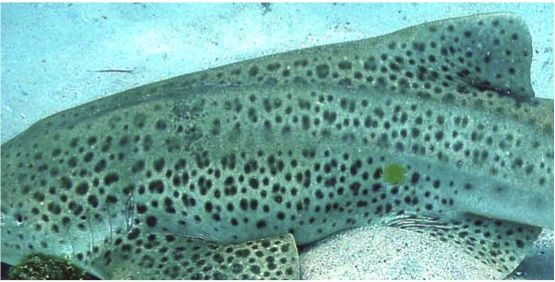 4bf8b1b9-a25d-464c-ac31-92f7dfba9005