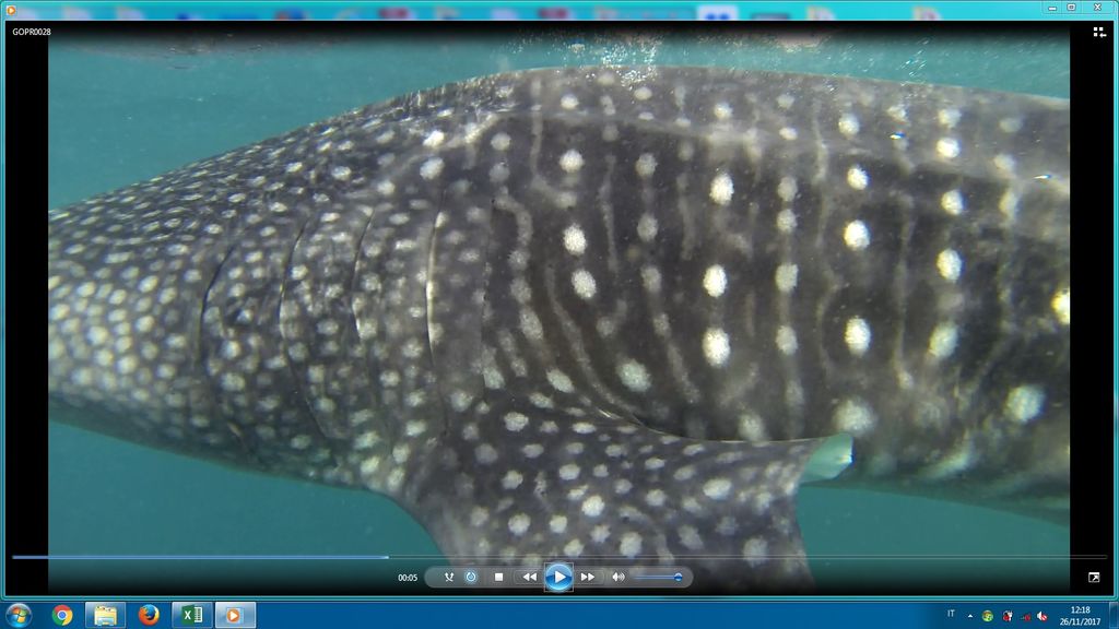 cc238dec-deea-45bb-b919-ed18ca6ee0e0