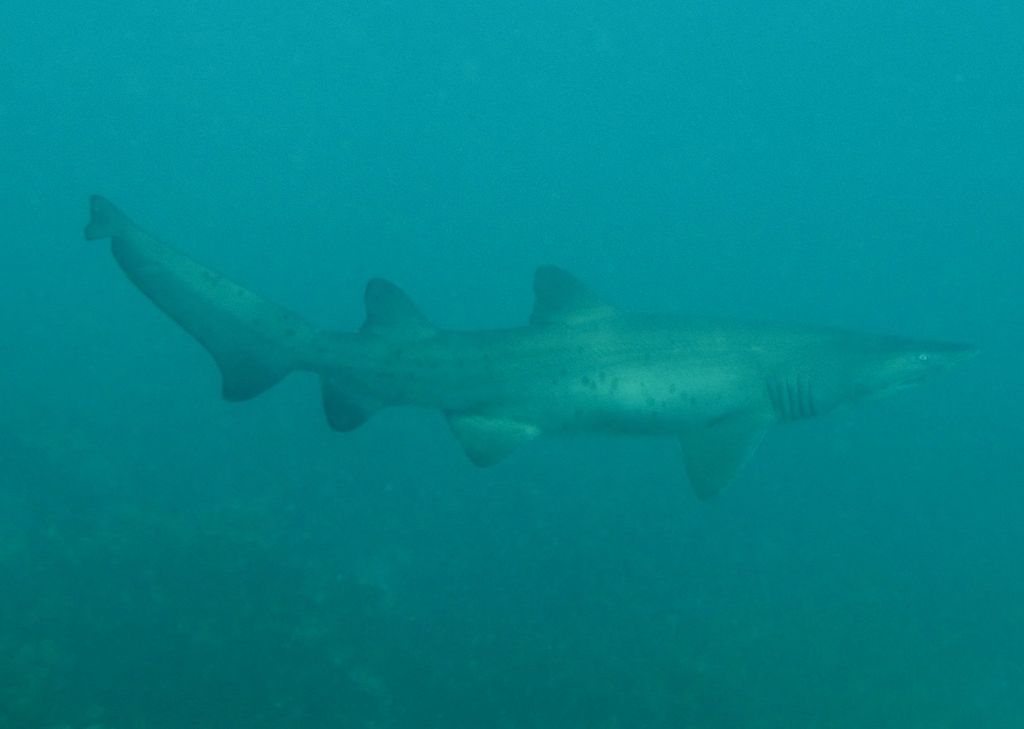 939f3c81-3342-4937-b010-e1b0a1b152ea