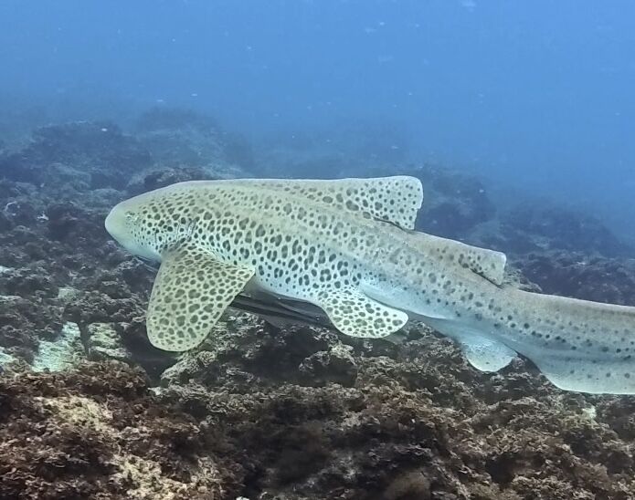 4874ecae-e565-411b-94e6-d91fab074b0f