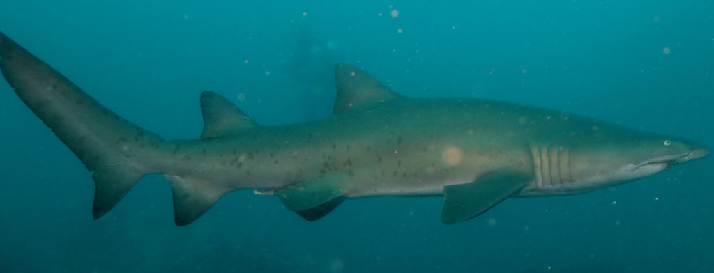 16cc3763-00d5-4467-8765-77752617c02a