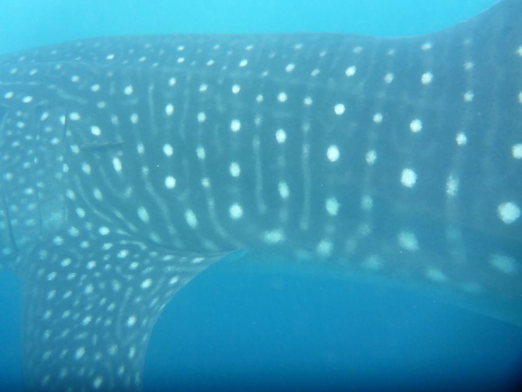 d92d915e-7789-4fef-bf99-210e3ead8d47