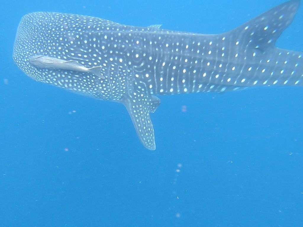 3c93157b-ae99-46f7-b8d5-0f6a55912900