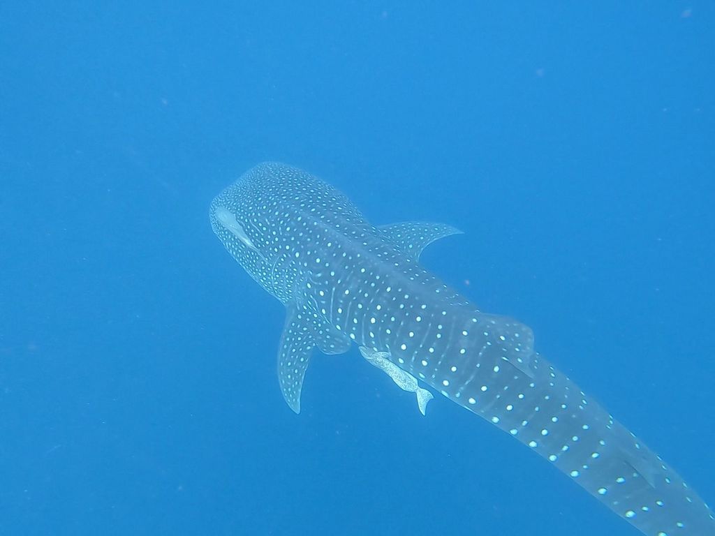 3c93157b-ae99-46f7-b8d5-0f6a55912900