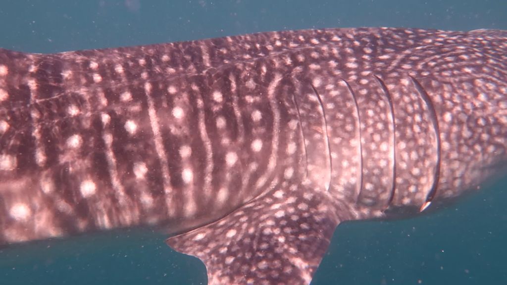 5121b469-d116-408e-8f63-2eddcdc27623