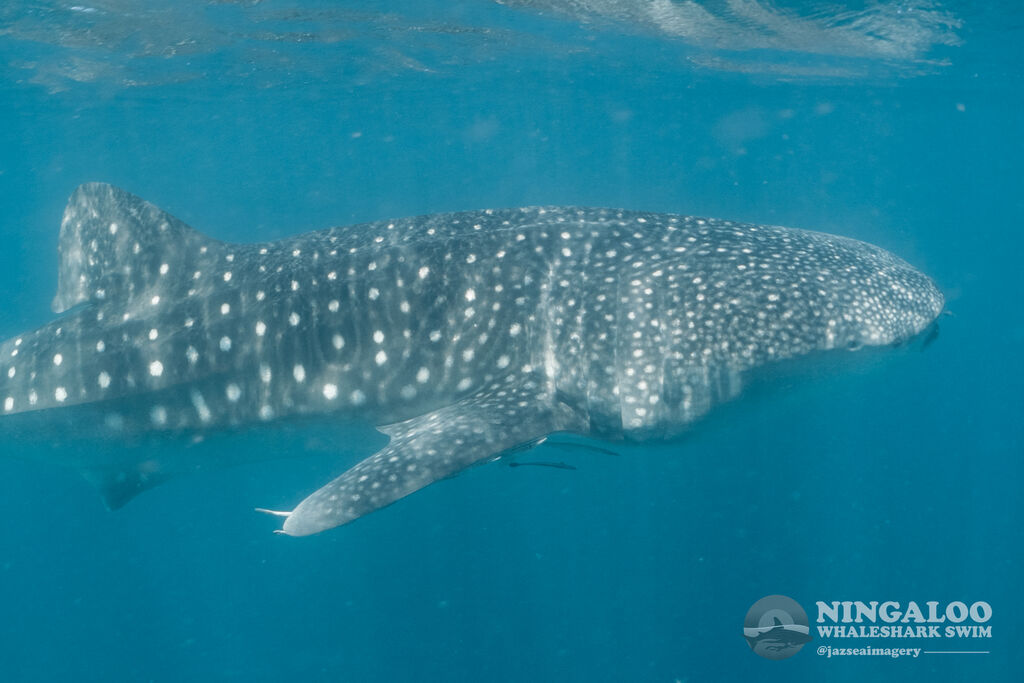 36d0a798-8c00-4f40-8089-5e0a59fa9312