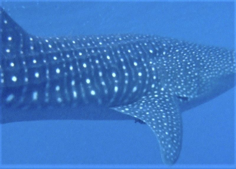 b55abd93-3823-446a-b9ed-61535d4a7341