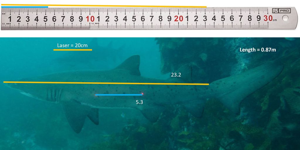 71a15306-36a0-4ac7-af63-293a29b8f450