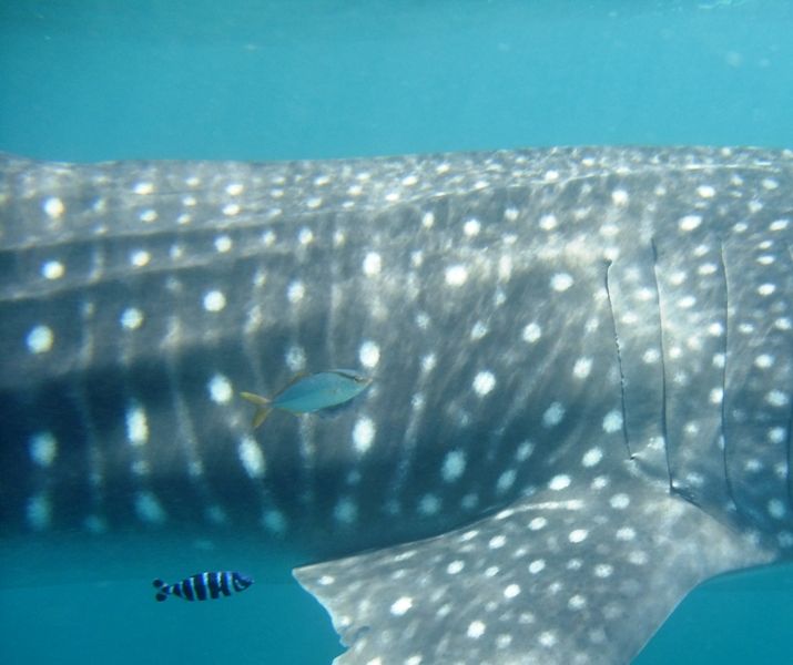 becf541a-1bf2-4a32-8472-e46910c15089