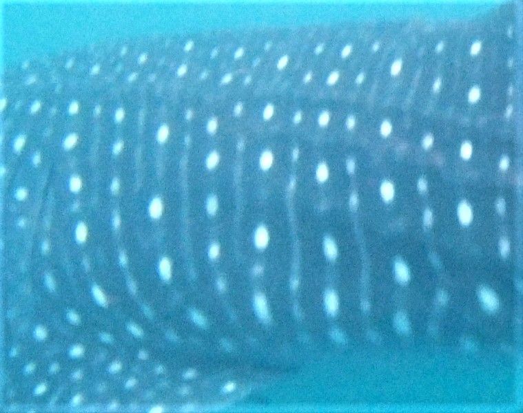 becf541a-1bf2-4a32-8472-e46910c15089