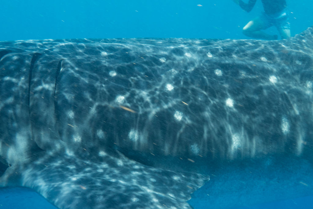 a5cd90db-ef26-4d7b-b4ca-a8e6f0542fd0