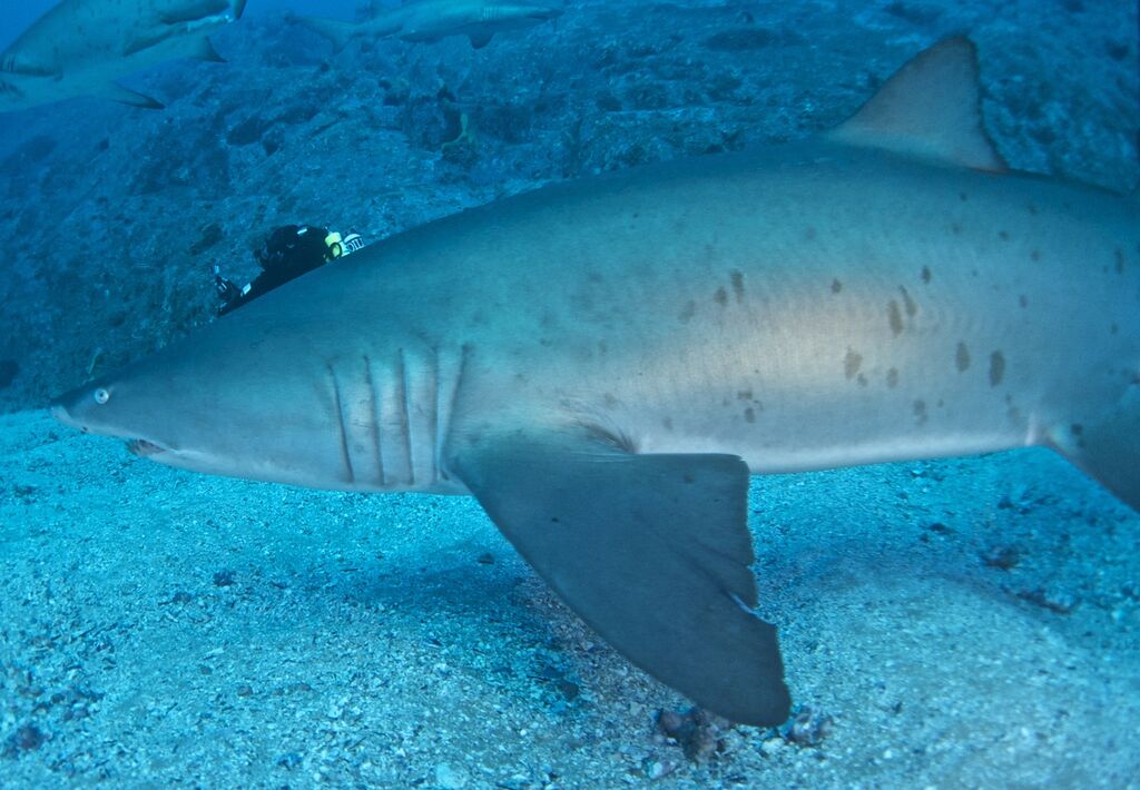 b669e0c9-b40f-492a-acda-3b3026f876b9