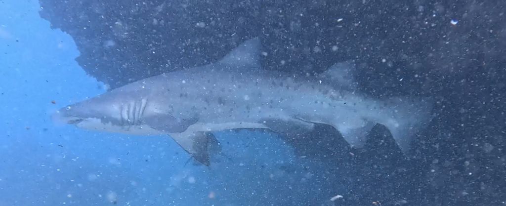 2013a88f-3541-42c9-b514-abaebba5186b