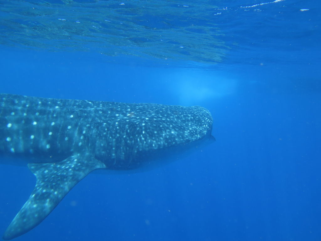 057d7457-9132-4b60-8713-3c6cad0b0630