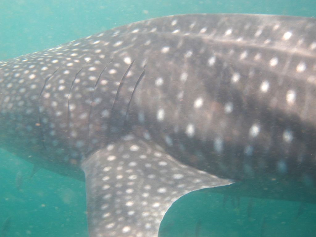 959fa103-01dd-4fa5-9771-61e82228bc71