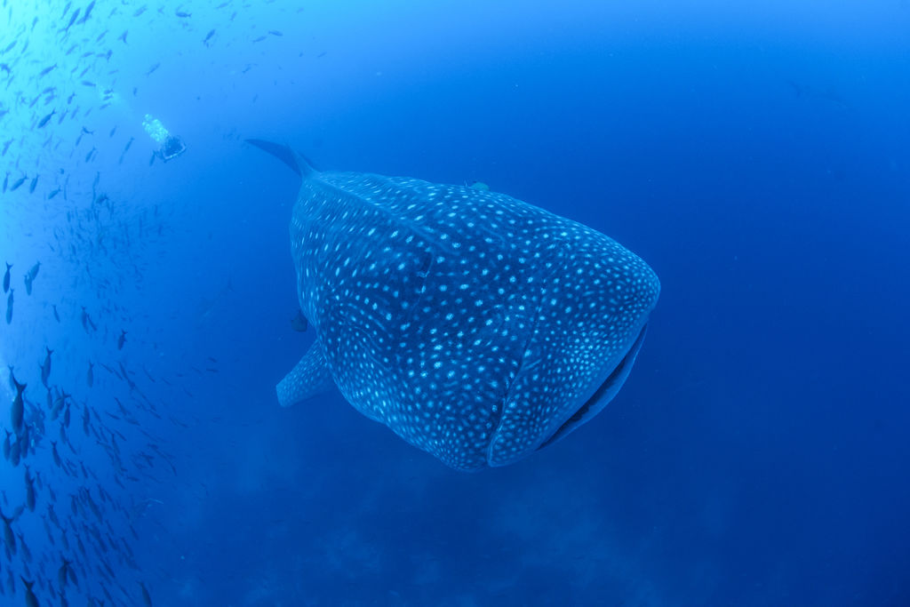 48ee105e-ccc3-458c-acc3-6307fca44833