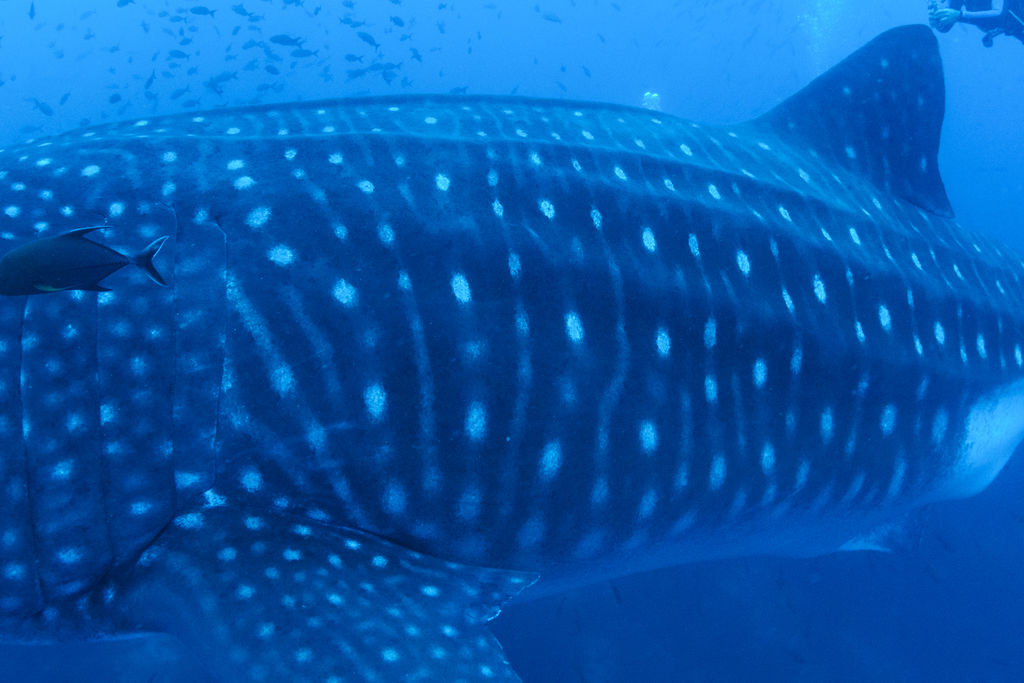 48ee105e-ccc3-458c-acc3-6307fca44833