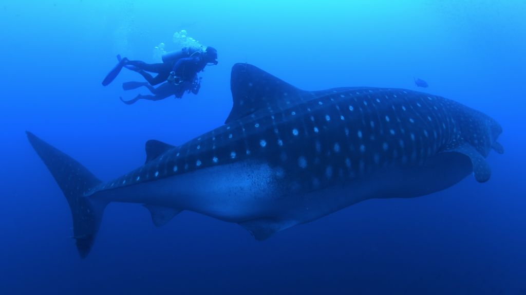 48ee105e-ccc3-458c-acc3-6307fca44833