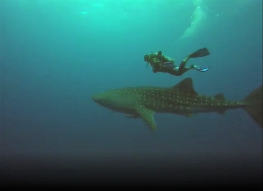 71da05c9-0ff2-43dc-927e-d138441212ac